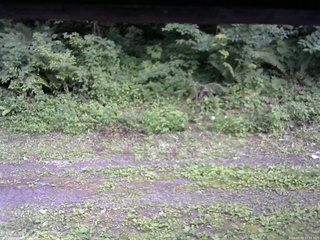 長野県菅平高原 ゆたか山荘 東側(坂下) 2026/07/23 17:15