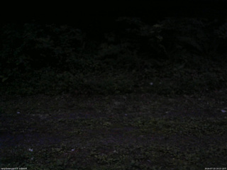 長野県菅平高原 ゆたか山荘 東側(坂下) 2026/07/23 19:15