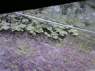 長野県菅平高原 ゆたか山荘 駐車場 2026/07/23 05:15