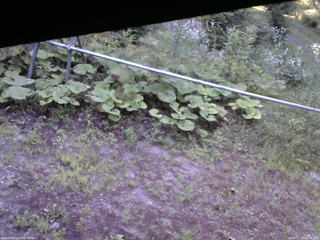 長野県菅平高原 ゆたか山荘 駐車場 2026/07/23 05:45