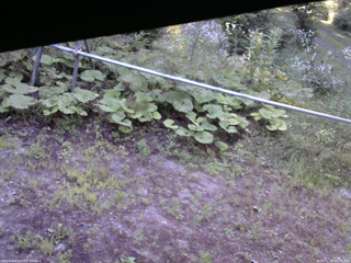 長野県菅平高原 ゆたか山荘 駐車場 2026/07/23 06:00