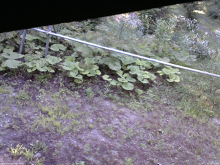 長野県菅平高原 ゆたか山荘 駐車場 2026/07/23 06:30