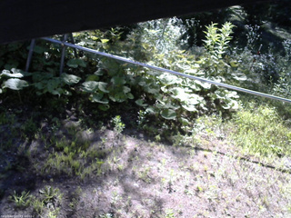 長野県菅平高原 ゆたか山荘 駐車場 2026/07/23 08:00