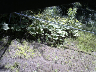 長野県菅平高原 ゆたか山荘 駐車場 2026/07/23 08:15