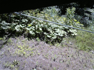 長野県菅平高原 ゆたか山荘 駐車場 2026/07/23 08:45