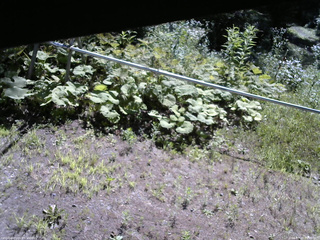 長野県菅平高原 ゆたか山荘 駐車場 2026/07/23 09:00