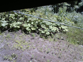 長野県菅平高原 ゆたか山荘 駐車場 2026/07/23 09:45