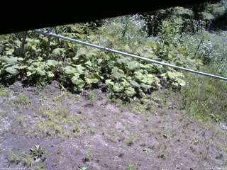 長野県菅平高原 ゆたか山荘 駐車場 2026/07/23 10:15