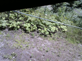 長野県菅平高原 ゆたか山荘 駐車場 2026/07/23 11:00
