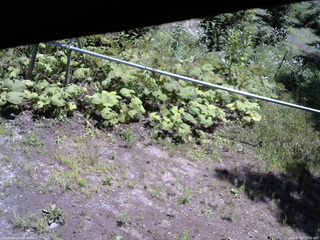 長野県菅平高原 ゆたか山荘 駐車場 2026/07/23 11:30