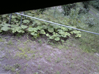長野県菅平高原 ゆたか山荘 駐車場 2026/07/23 17:45