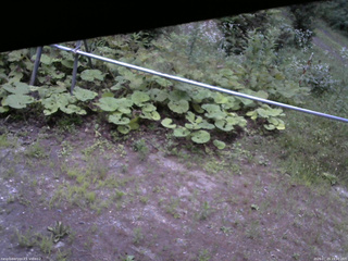 長野県菅平高原 ゆたか山荘 駐車場 2026/07/23 19:00