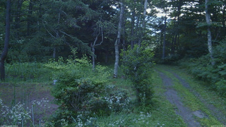 長野県菅平高原 ゆたか山荘 坂上 2026/07/23 05:00