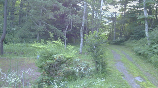 長野県菅平高原 ゆたか山荘 坂上 2026/07/23 05:15