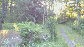 長野県菅平高原 ゆたか山荘 坂上 2026/07/23 05:30