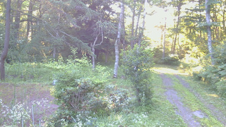 長野県菅平高原 ゆたか山荘 坂上 2026/07/23 05:45
