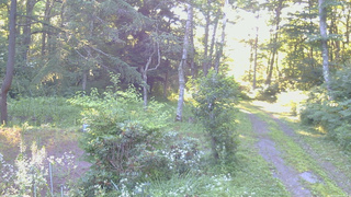 長野県菅平高原 ゆたか山荘 坂上 2026/07/23 06:00