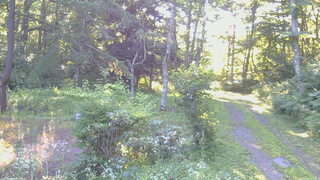 長野県菅平高原 ゆたか山荘 坂上 2026/07/23 06:15