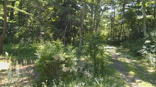 長野県菅平高原 ゆたか山荘 坂上 2026/07/23 08:15