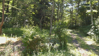 長野県菅平高原 ゆたか山荘 坂上 2026/07/23 08:30