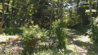 長野県菅平高原 ゆたか山荘 坂上 2026/07/23 08:45
