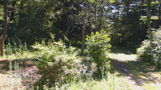 長野県菅平高原 ゆたか山荘 坂上 2026/07/23 09:45