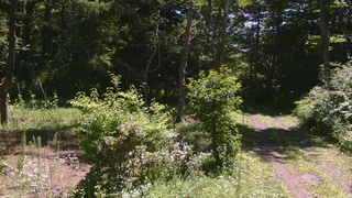 長野県菅平高原 ゆたか山荘 坂上 2026/07/23 10:15