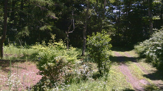 長野県菅平高原 ゆたか山荘 坂上 2026/07/23 11:00
