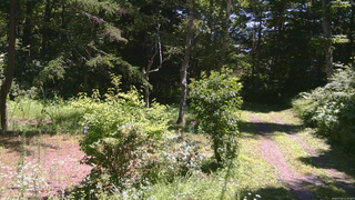 長野県菅平高原 ゆたか山荘 坂上 2026/07/23 11:15