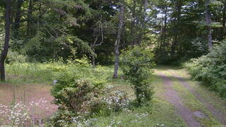 長野県菅平高原 ゆたか山荘 坂上 2026/07/23 11:45