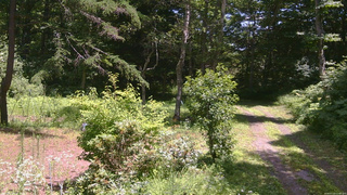 長野県菅平高原 ゆたか山荘 坂上 2026/07/23 12:00