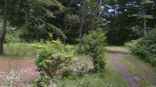 長野県菅平高原 ゆたか山荘 坂上 2026/07/23 12:30