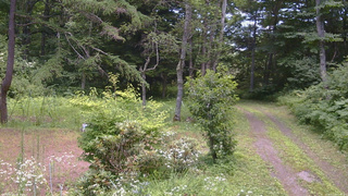 長野県菅平高原 ゆたか山荘 坂上 2026/07/23 12:45