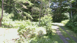 長野県菅平高原 ゆたか山荘 坂上 2026/07/23 13:00