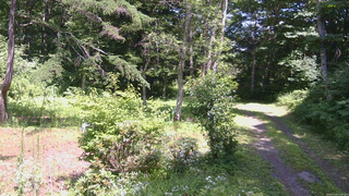長野県菅平高原 ゆたか山荘 坂上 2026/07/23 13:15