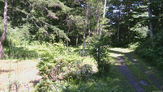 長野県菅平高原 ゆたか山荘 坂上 2026/07/23 13:45
