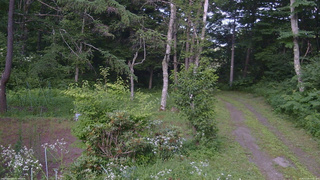長野県菅平高原 ゆたか山荘 坂上 2026/07/23 17:15