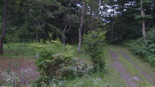 長野県菅平高原 ゆたか山荘 坂上 2026/07/23 17:30