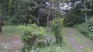 長野県菅平高原 ゆたか山荘 坂上 2026/07/23 17:45