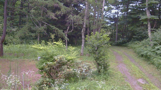 長野県菅平高原 ゆたか山荘 坂上 2026/07/23 18:45