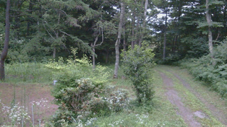 長野県菅平高原 ゆたか山荘 坂上 2026/07/23 19:00