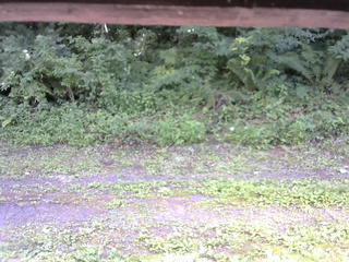 長野県菅平高原 ゆたか山荘 東側(坂下) 2026/07/24 14:30