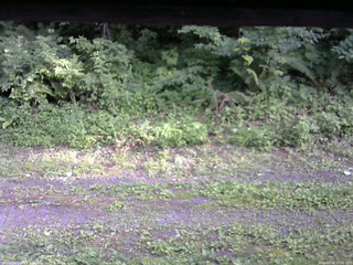 長野県菅平高原 ゆたか山荘 東側(坂下) 2026/07/24 17:00