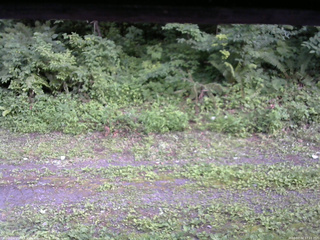 長野県菅平高原 ゆたか山荘 東側(坂下) 2026/07/24 17:15