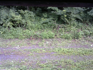長野県菅平高原 ゆたか山荘 東側(坂下) 2026/07/24 17:30