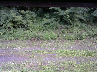 長野県菅平高原 ゆたか山荘 東側(坂下) 2026/07/24 17:45
