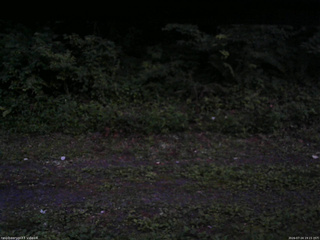 長野県菅平高原 ゆたか山荘 東側(坂下) 2026/07/24 19:15