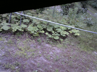 長野県菅平高原 ゆたか山荘 駐車場 2026/07/24 05:00