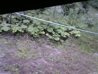 長野県菅平高原 ゆたか山荘 駐車場 2026/07/24 05:15