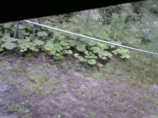 長野県菅平高原 ゆたか山荘 駐車場 2026/07/24 05:45
